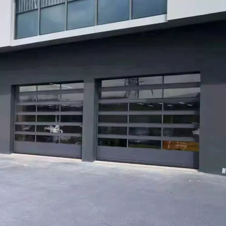 Секційні гаражні двері Villa Black Flat Glass